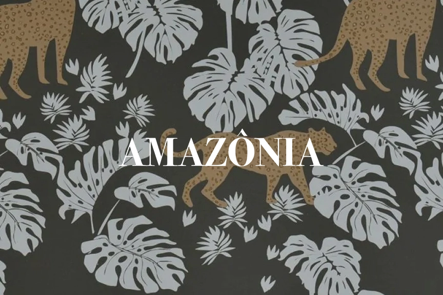 Coleção: amazônia