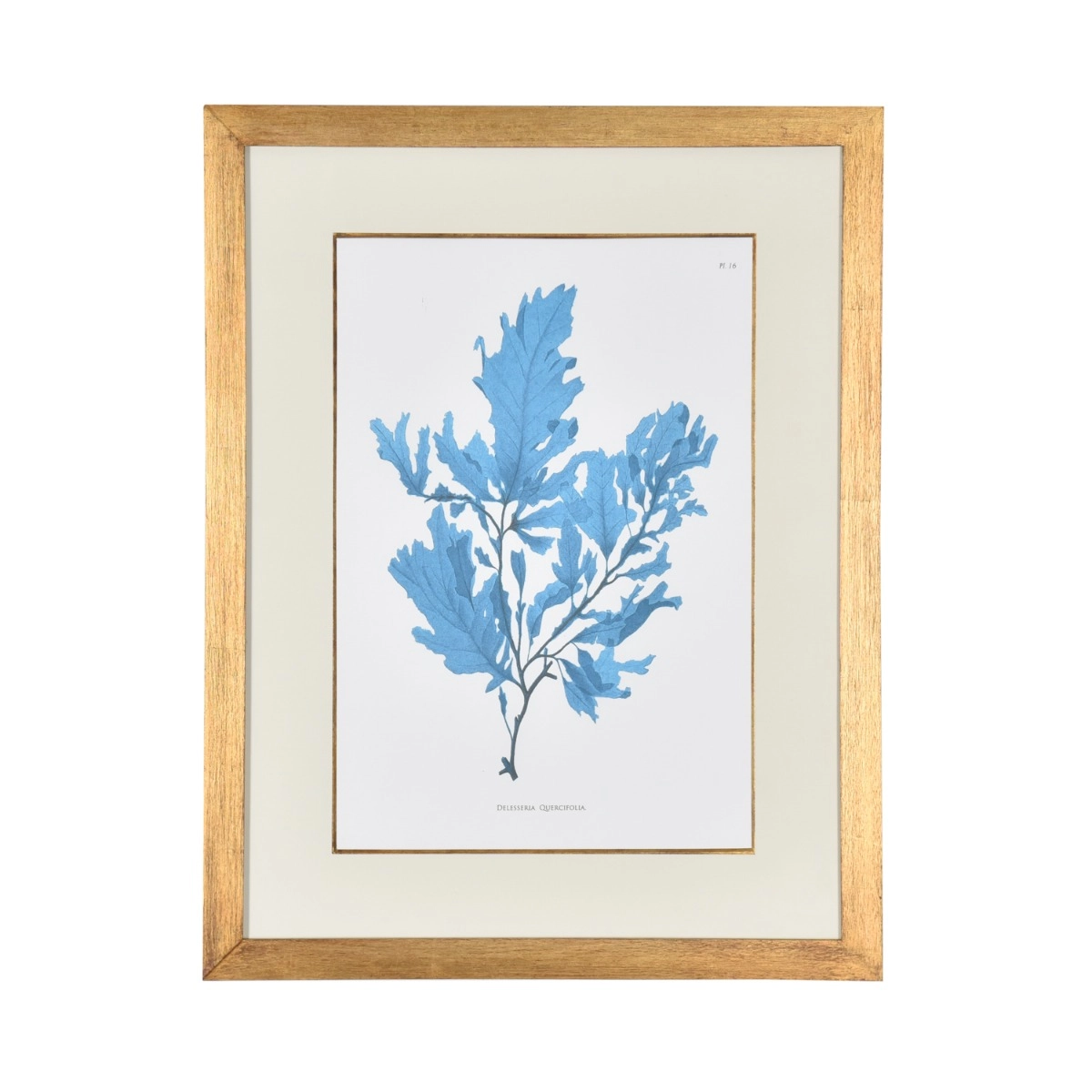 Gravura Coral Azul I - SKU 07202101