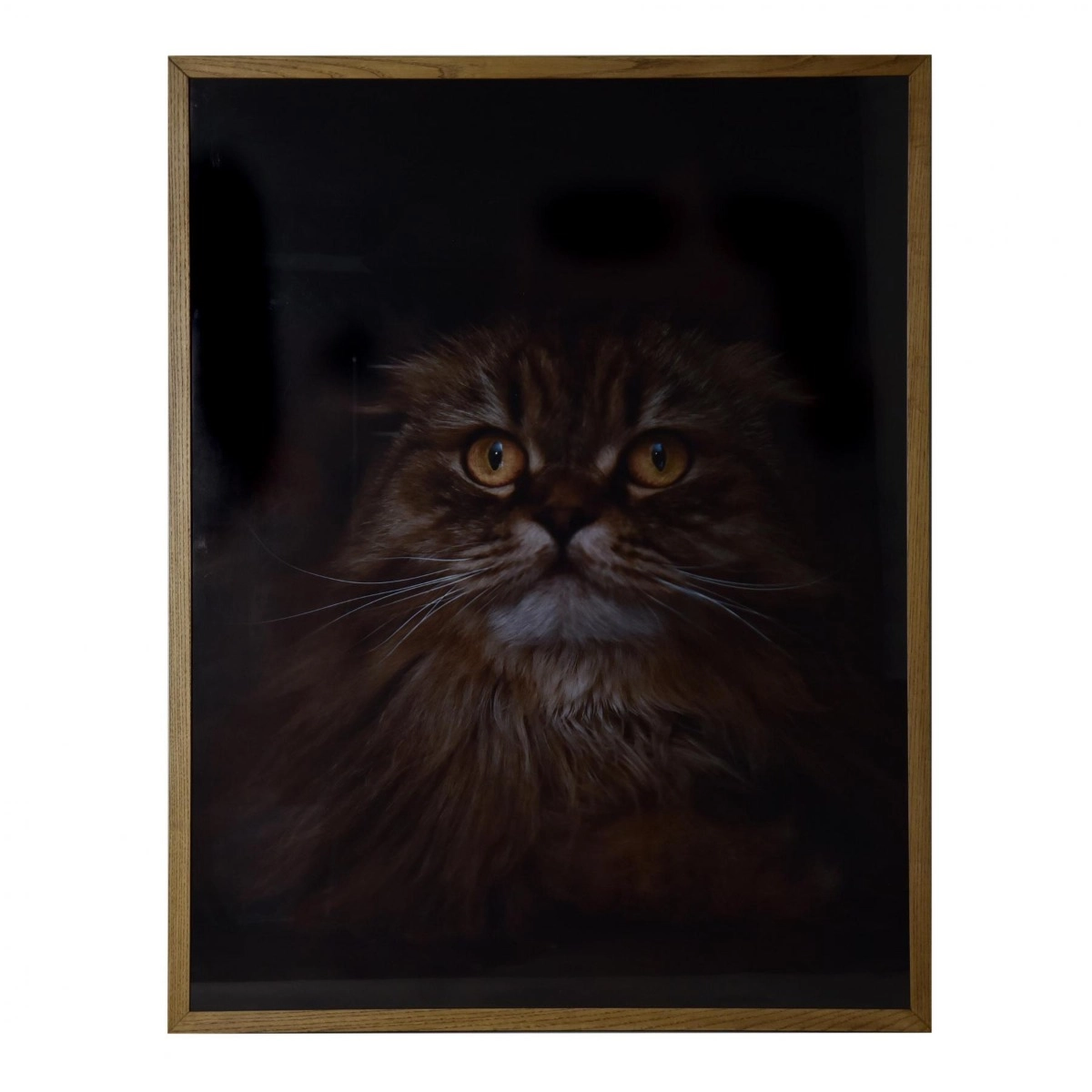 Gravura Gata II - SKU 07200064V1