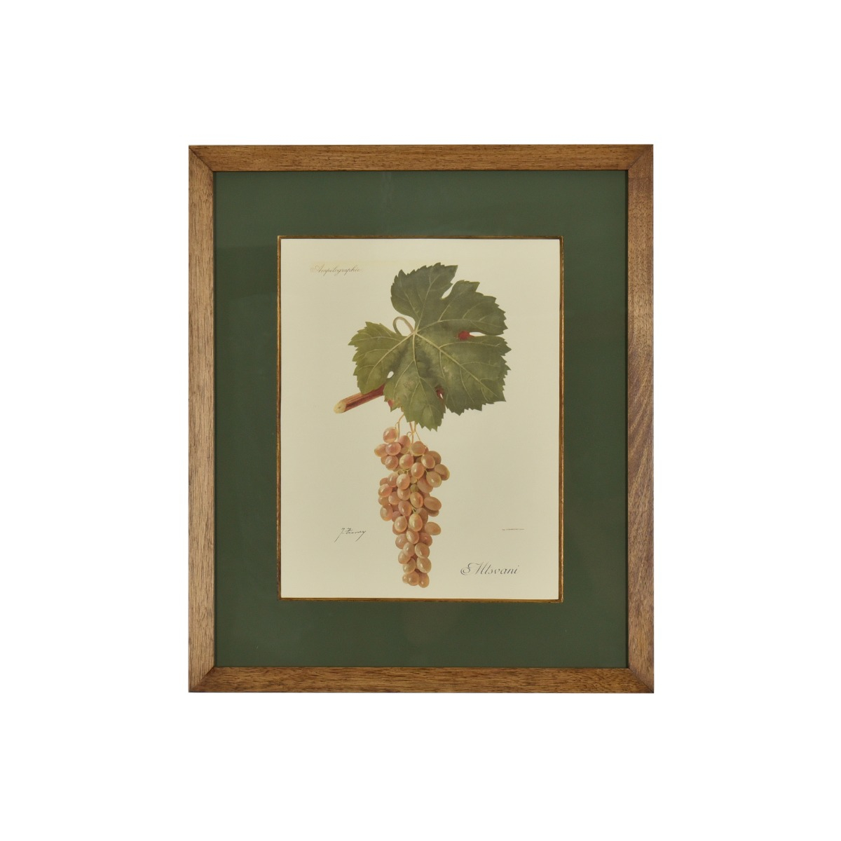 Gravura  Uvas - SKU 07202060