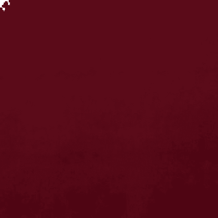 Tecido Veludo Belém Red