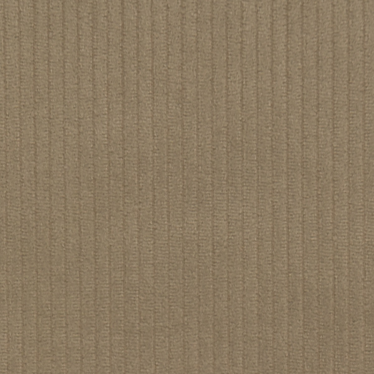 Tecido Veludo Colete Natural - SKU 24402562