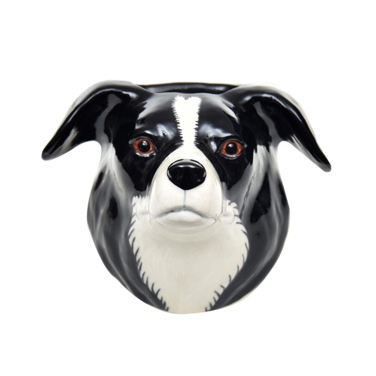 Vaso Border Collie - SKU 14400646